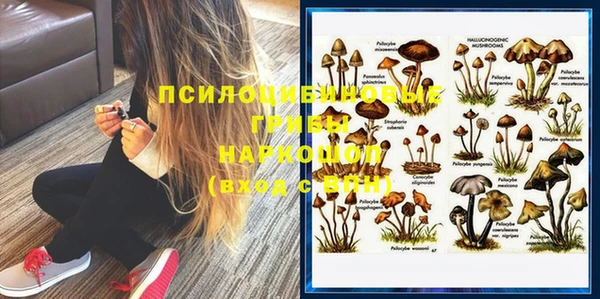прущая мука Алзамай
