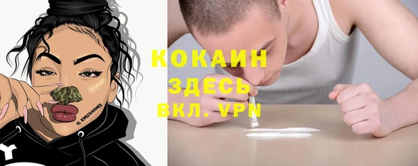 сатива Абдулино